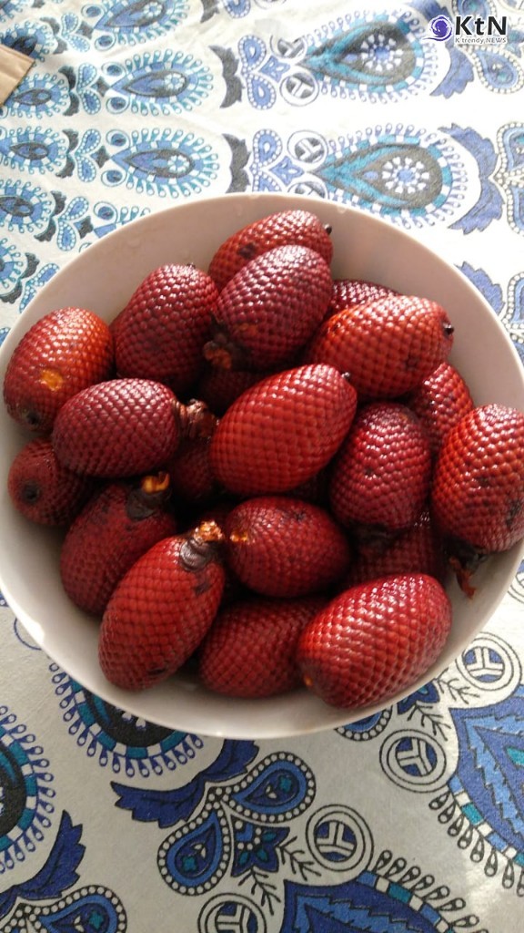  아구아헤 열매에서 추출한 에스트라디올과 에스트롤이라는 성분이 호르몬 요법과 유사한 효과를 나타내었다는 것이 밝혀졌다./사진=월드원무역