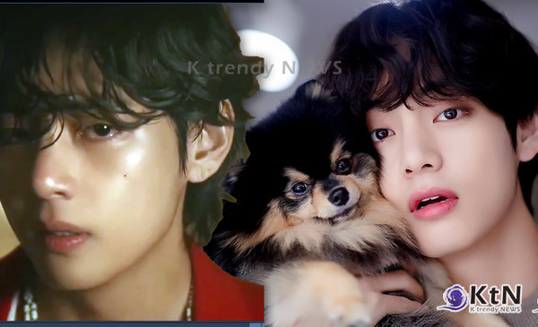 방탄소년단 뷔, 반려견 연탄이 떠나보내며 안타까운 소식 전해 사진=2024 12.01 엑스 갈무리/ 뷔 인스타그램 갈무리 / 편집 K trendy NEWS DB ⓒ케이 트렌디뉴스 무단전재 및 수집, 재배포금지