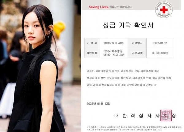 혜리, 제주항공 참사 지원 위해 3천만 원 기부…"따뜻한 나눔 실천" 사진=2025 01.14  인스타그램, 유튜브 채널 '혜리'  갈무리 K trendy NEWS DB ⓒ케이 트렌디뉴스 무단전재 및 수집, 재배포금지