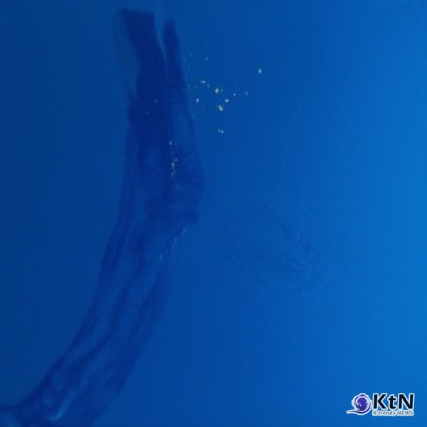 작품명: Butterflies in the Stomach 13(21-2)제작 연도: 2021년규격: 50 × 50cm.  [갤러리 A]  사진=K trendy NEWS DB ⓒ케이 트렌디뉴스 무단전재 및 수집, 재배포금지