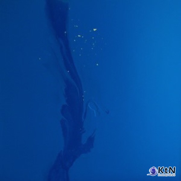 허은선 작가. 작품명: Butterflies in the Stomach 15(21-4)제작 연도: 2021년규격: 50 × 50cm.  [갤러리 A]  사진=K trendy NEWS DB ⓒ케이 트렌디뉴스 무단전재 및 수집, 재배포금지