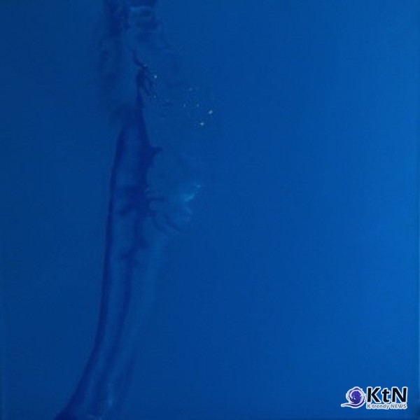 허은선 작가. 작품명: Butterflies in the Stomach 12(21-1)제작 연도: 2021년규격: 50 × 50cm재료: 하이드로락(Hydrolaque) 및 금박 (Hydrolaque with gold leaves on canvas) 가격: 1,560 [갤러리 A]  사진=K trendy NEWS DB ⓒ케이 트렌디뉴스 무단전재 및 수집, 재배포금지