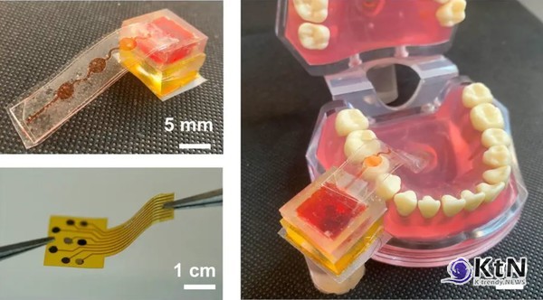 e-Taste가 가져올 변화: 미각의 디지털 혁신이 불러올 파장   사진=Ohio State University, K trendy NEWS DB ⓒ케이 트렌디뉴스 무단전재 및 수집, 재배포금지
