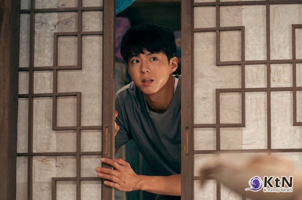 '순애보 끝판왕' 박보검, ‘폭싹 속았수다’로 폭싹 반한 ‘관식앓이’ 시작됐다 사진=2025 03.10  넷플릭스  K trendy NEWS DB ⓒ케이 트렌디뉴스 무단전재 및 수집, 재배포금지