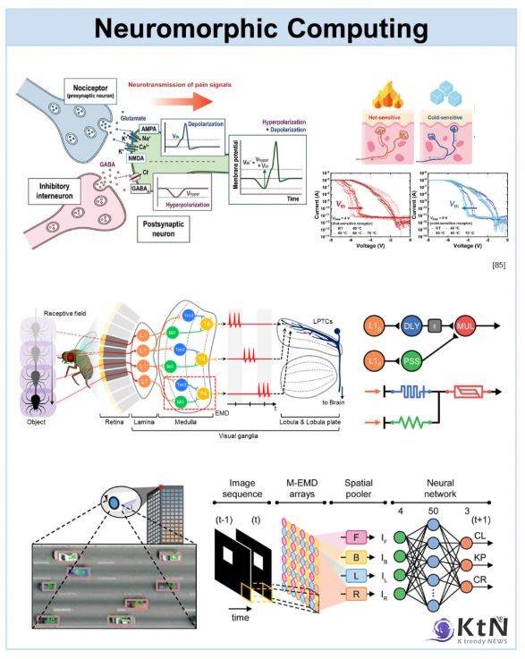 KAIST 김경민 교수팀의 ‘뉴랜지스터’ 기술을 중심으로 한 뉴로모픽 컴퓨팅의 소자 전환(Neuromorphic Computing ) 김경민교수팀. 사진=FuST 연구실, K trendy NEWS DB ⓒ케이 트렌디뉴스 무단전재 및 수집, 재배포금지