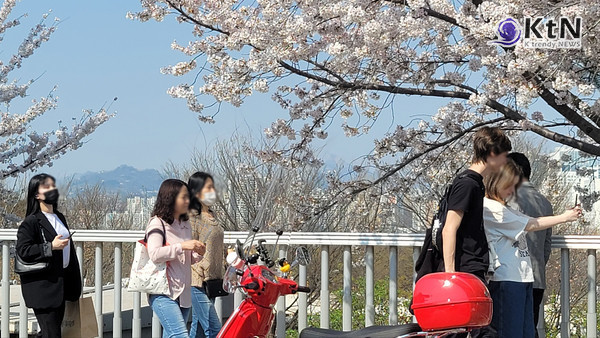주말 전국 봄비...곡우(穀雨)인 내일, 맑고 따뜻해져 활동하기 수월해   사진=2025 04.17   벛꽃 외출하는 시민 K trendy NEWS DB ⓒ케이 트렌디뉴스 무단전재 및 수집, 재배포금지