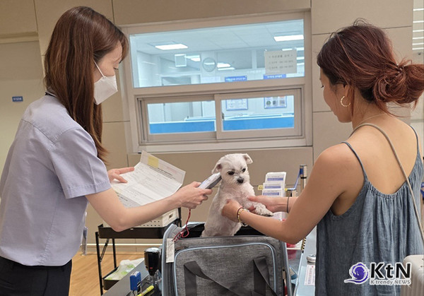 [여행 Trend] 반려동물과 해외여행? ‘검역증명서’ 없으면 입국 불가  사진=2025 06.27  인천공항에서 반려동물 검역을 위해 내장 무선식별장치(마이크로칩)를 확인하고 있다. (사진=농림축산검역본부) K trendy NEWS DB ⓒ케이 트렌디뉴스 무단전재 및 수집, 재배포금지