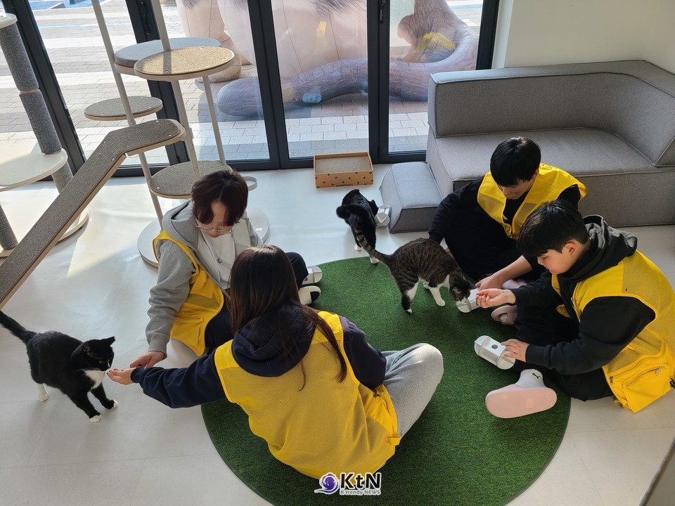 생명존중교육과 동물교감 프로그램을 병행한 반려마루화성 특화 청소년 봉사활동 운영