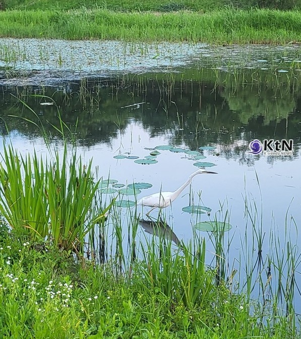 기후위기 속 ‘농촌 물복지’ 강화 흐름… 배수개선·수리시설 이어 세 번째 성과 - 충남 부여·청양·공주, 지역 기반형 농업 인프라 선도 지대로 부상 /사진=K trendy NEWS DB ⓒ케이 트렌디뉴스 무단전재 및 수집, 재배포금지