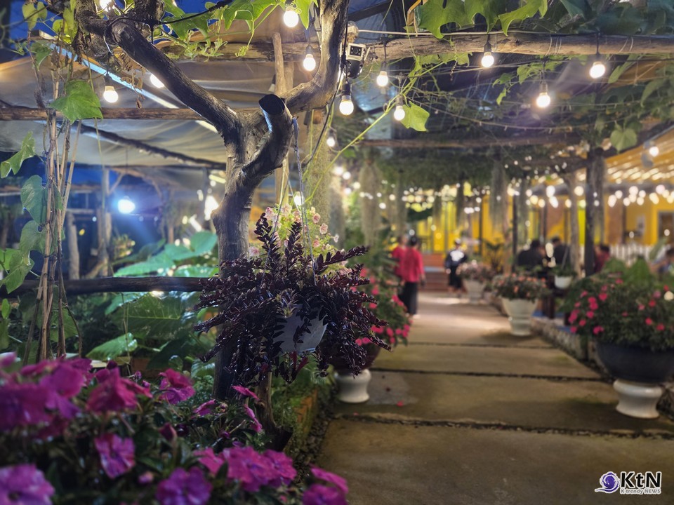 K관광의 현실. 사진=K trendy NEWS DB ⓒ케이 트렌디뉴스 무단전재 및 수집, 재배포금지