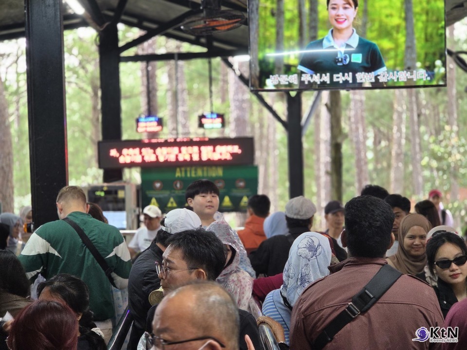 OTT 플랫폼이 만든 새로운 지형. 사진= K trendy NEWS DB ⓒ케이 트렌디뉴스 무단전재 및 수집, 재배포금지