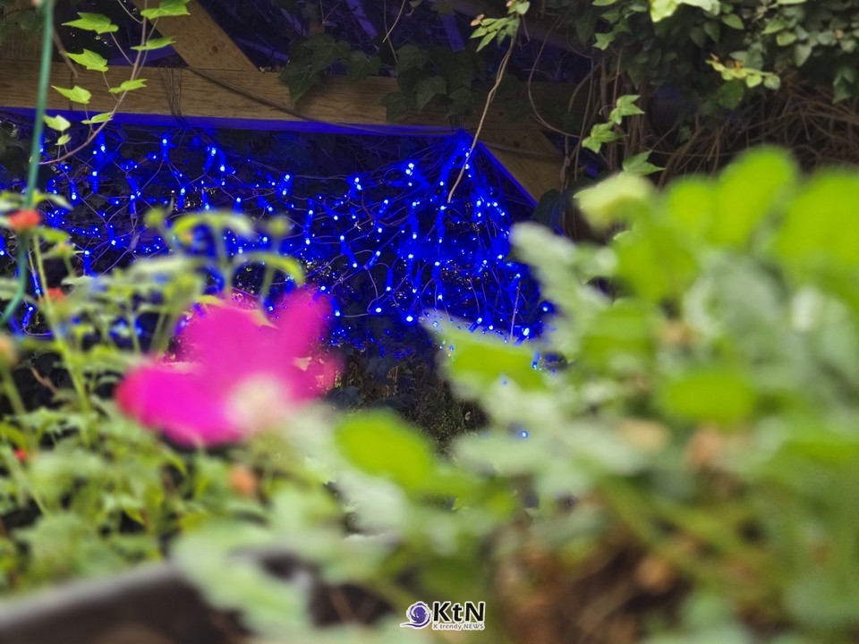 블루와 레드는 서로 대립하는 색이지만, 불안 시대의 소비자는 두 색을 동시에 소비한다. /사진=K trendy NEWS DB ⓒ케이 트렌디뉴스 무단전재 및 수집, 재배포금지