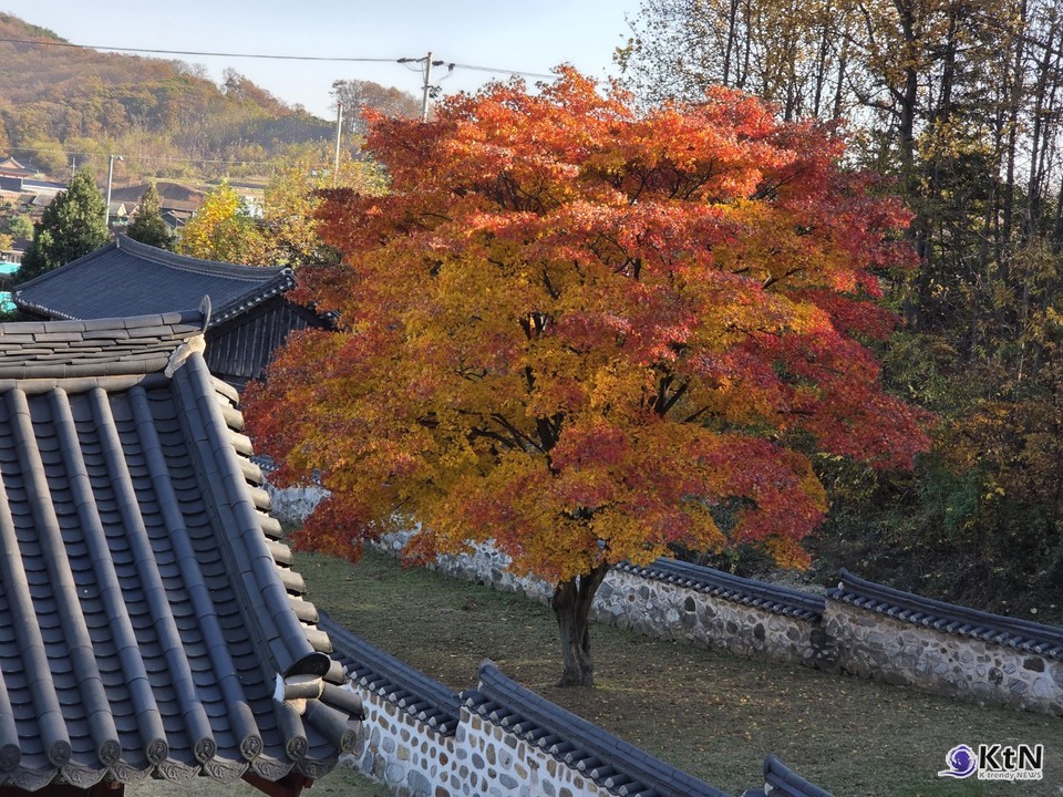 김포역사문화연구소, 김포를 아시나요.  사진=K trendy NEWS DB ⓒ케이 트렌디뉴스 무단전재 및 수집, 재배포금지