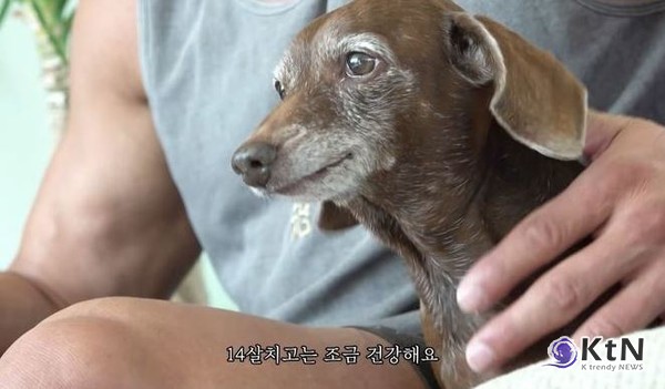 최고 인기 유튜버 추성훈, 반려견 목줄도 명품? …도쿄 50억 집 해명까지 사진=2025 12.05  유튜브 채널 '추성훈' 캡처 K trendy NEWS DB ⓒ케이 트렌디뉴스 무단전재 및 수집, 재배포금지