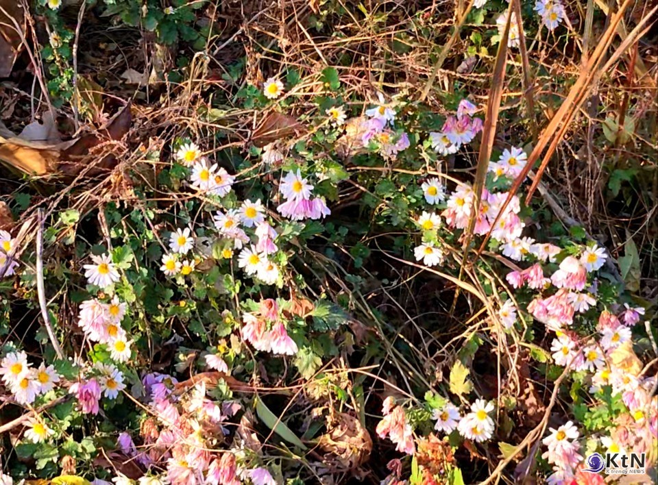 불꽃의 한국학, 하냥살이 낙화놀이. 사진=하냥살이 낙화놀이, K trendy NEWS DB ⓒ케이 트렌디뉴스 무단전재 및 수집, 재배포금지