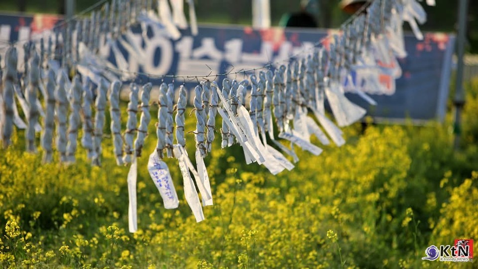 불꽃의 한국학, 하냥살이 낙화놀이. 사진=하냥살이 낙화놀이, K trendy NEWS DB ⓒ케이 트렌디뉴스 무단전재 및 수집, 재배포금지