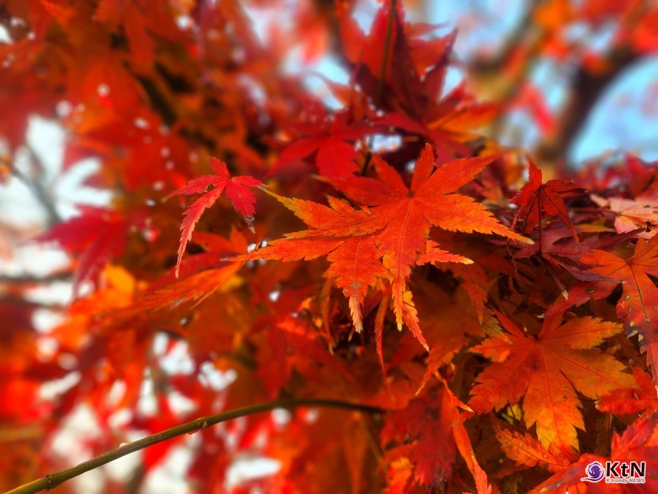 불꽃의 한국학, 하냥살이 낙화놀이. 사진=하냥살이 낙화놀이, K trendy NEWS DB ⓒ케이 트렌디뉴스 무단전재 및 수집, 재배포금지