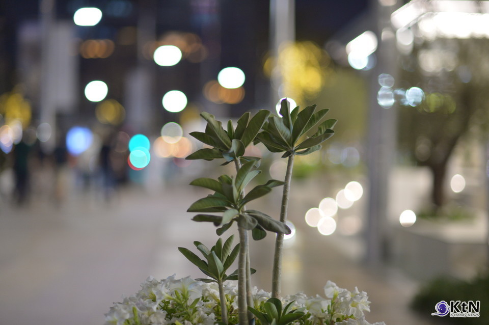 AI 시대, 일과 기술의 미래. 사진=K trendy NEWS DB ⓒ케이 트렌디뉴스 무단전재 및 수집, 재배포금지