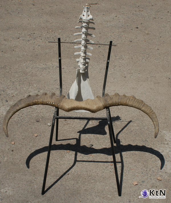 쉬가예프의 예술은 단순히 미적 아름다움을 넘어, 키르기스스탄 고유의 문화와 가치를 현대적 언어로 재창조하는 역할을 한다.     사진= K trendy NEWS DB ⓒ케이 트렌디뉴스 무단전재 및 수집, 재배포금지