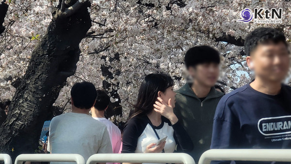 10일이나 일찍 터진 분홍빛 폭죽...오늘 전국에 '봄비'가 벚꽃 만개 시점 결정한다 [날씨] 사진=2026. 03.30  여의도 윤중로 자료사진 벚꽃   K trendy NEWS DB ⓒ케이 트렌디뉴스 무단전재 및 수집, 재배포금지