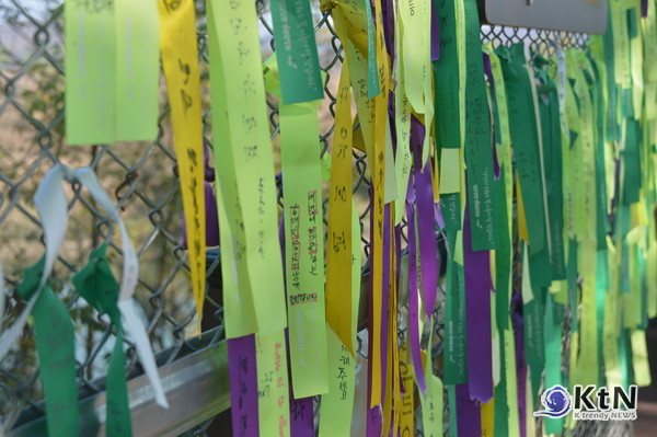 DMZ 평화의 길은 한국만이 제공할 수 있는 독보적 관광 콘텐츠라는 점에서 전략적 가치가 높다.  /사진=K trendy NEWS ⓒ케이 트렌디뉴스 무단전재 및 수집, 재배포금지 