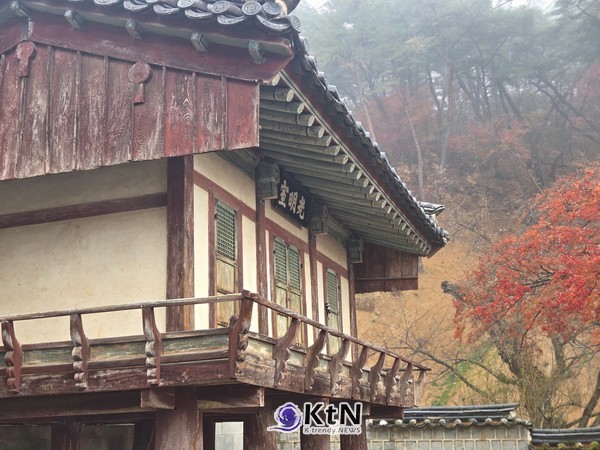 사진= K trendy NEWS DB ⓒ케이 트렌디뉴스 무단전재 및 수집, 재배포금지