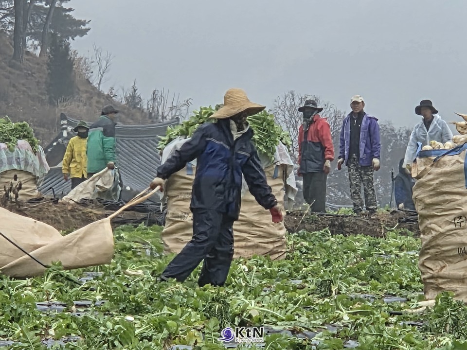 김천시는 정부의 시·군 주도 공공기숙사 사업을 활용해 학교 부지에 근로자 기숙사를 짓고 있다.