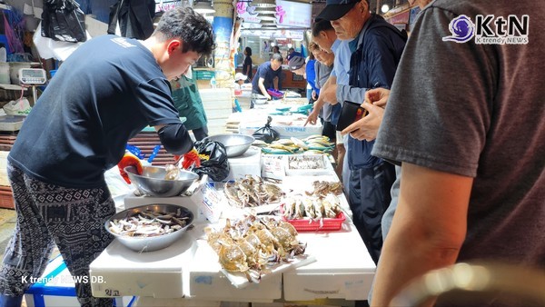 추석 민생대책, 성수품 18만3000t 역대 최대…농축산물 40%·수산물 50% 할인  사진=2026. 09.01추석 차례상 (명태·고등어·오징어·갈치·참조기·마른멸치 등 6대 대중성 수산물은 정부 비축물량 2만t을 방출한다.)  K trendy NEWS DB ⓒ케이 트렌디뉴스 무단전재 및 수집, 재배포금지