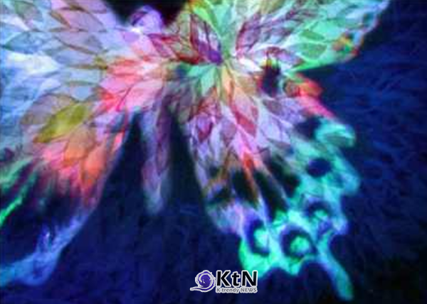 김현정, ‘날으는 빛 1(Flying Light 1)’, 2009, 구성사진·피그먼트 프린트, 100×70㎝. RGB LED와 투명 재료, 반사와 산란을 이용해 나비의 형상을 만들었다. 안료로 빛을 재현하던 작업에서 실제 광원을 색채 생성의 재료로 끌어들인 초기 작업이다. 사진=‘바이탈 클라리타스(Vital Claritas)’를 향한 메타-매체 표현 연구, K trendy NEWS DB ⓒ케이 트렌디뉴스 무단전재 및 수집, 재배포금지