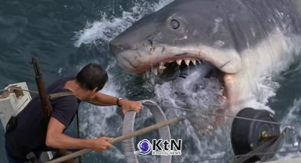 [영화 인사이트②] ‘Jaws’, 여름을 블록버스터 시즌으로 바꾼 1975년의 개봉 공식. 사진=Jay's Classic Movie