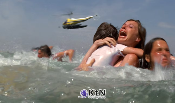 [영화 인사이트②] ‘Jaws’, 여름을 블록버스터 시즌으로 바꾼 1975년의 개봉 공식. 사진=Jay's Classic Movie