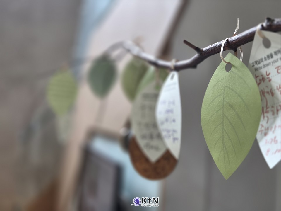 홍지숙 관장은 아트큐브 2R2에서 한국 여성 작가들을 다룬 전시를 기획하면서, 지금보다 훨씬 불리한 환경에서 긴 작업을 이어온 작가들의 삶과 작품을 다시 보게 됐다고 말했다.  /사진=K trendy NEWS DB ⓒ케이 트렌디뉴스 무단전재 및 수집, 재배포금지