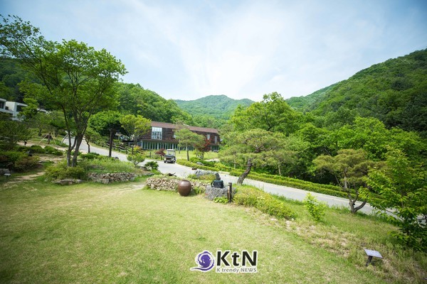 힐리언스 선마을 숙박공간 주변으로 이어지는 길. 산의 경사를 생활 동선에 남겨 숙소와 식당, 숲과 프로그램 시설 사이를 오가는 과정에서도 자연스럽게 걷게 하는 공간 구성이 이어진다. 사진=힐리언스 선마을 제공
