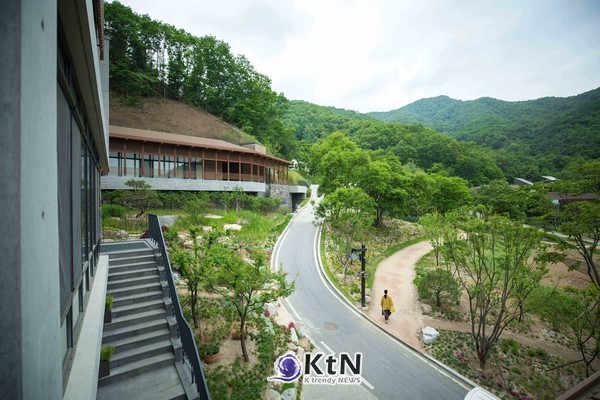 힐리언스 선마을에서 진행되는 단체 프로그램. 기업 리트릿은 조직의 단합뿐 아니라 직원의 신체활동과 휴식, 스트레스 관리까지 함께 다루는 방향으로 넓어지고 있다. 사진=힐리언스 선마을 제공