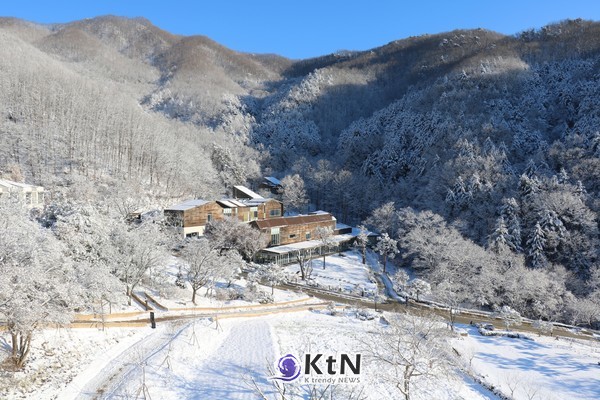 눈으로 덮인 힐리언스 선마을의 겨울. 계절에 따라 달라지는 숲과 빛, 기온은 같은 장소에서도 걷기와 휴식, 생활리듬을 다르게 만든다. 사진=힐리언스 선마을 제공
