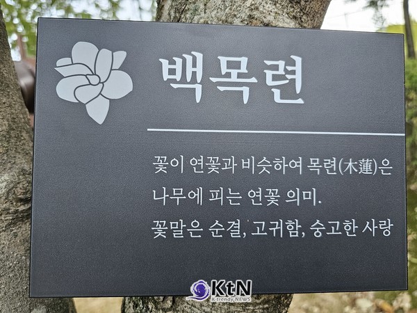 포천시 정원도시과에서 설치한 나무명찰 사례 (사진=조영식 기자)