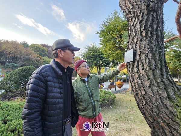 아침 운동 나온 시민들이 소나무 명찰을 보면서 소나무와 관련된 이야기를 나누고 있다. (사진=조영식 기자)