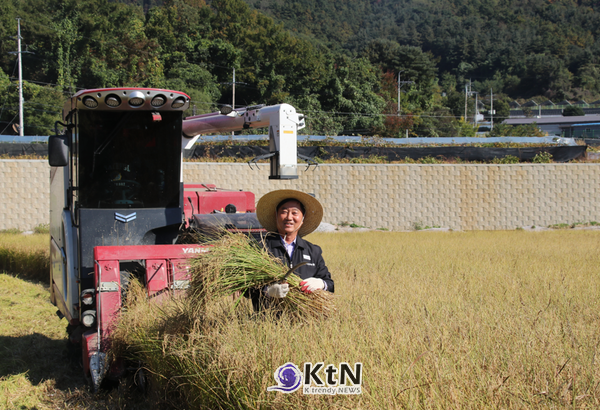 김창길 조합장의 벼베기 활동 (사진=가산농협 제공)