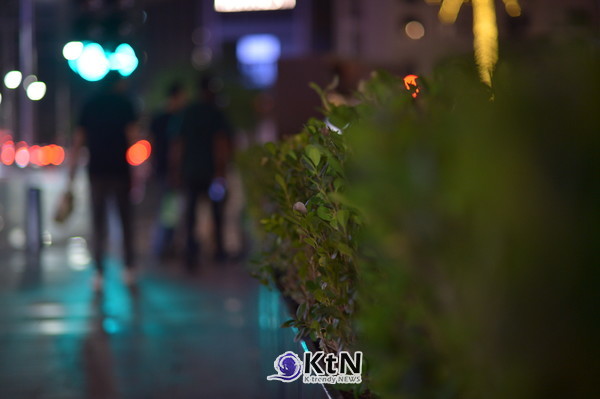 [AI 시대 브랜드 전략④] 브랜드 측정 막힌 기업 84%, 예산 축소의 악순환.  사진=K trendy NEWS DB ⓒ케이 트렌디뉴스 무단전재 및 수집, 재배포금지